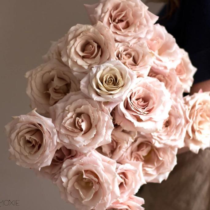 Dusty Rose ☀ Cream Wedding Flowers ...